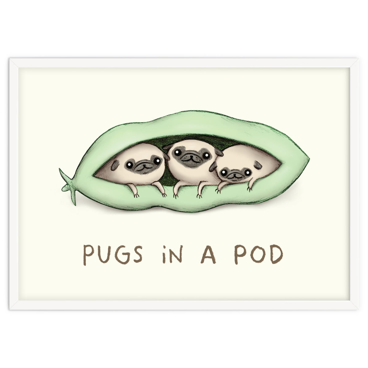 Pugs In A Pod