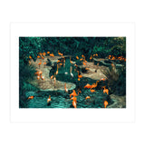 Flamingo Creek (Print Only) thumbnail