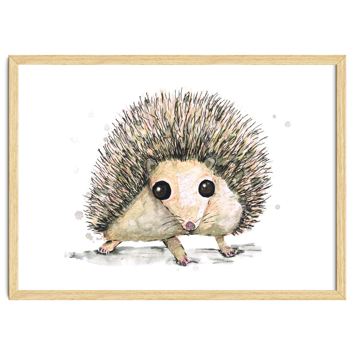 Hedgehog