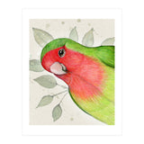 Curious lovebird (Print Only) thumbnail