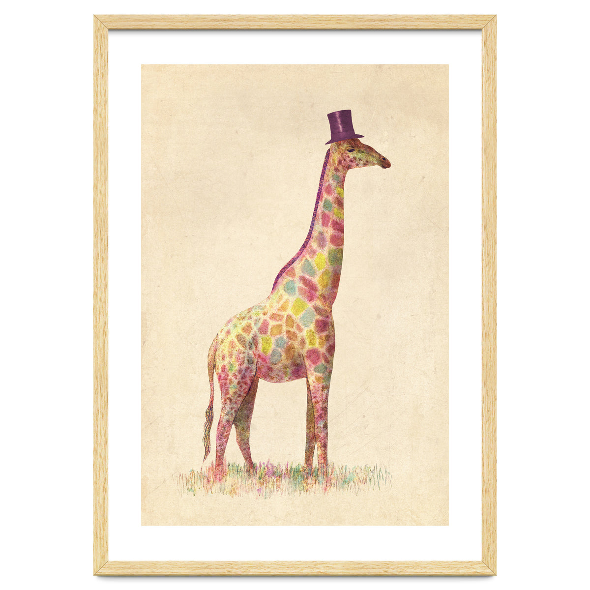 Fashionable Giraffe