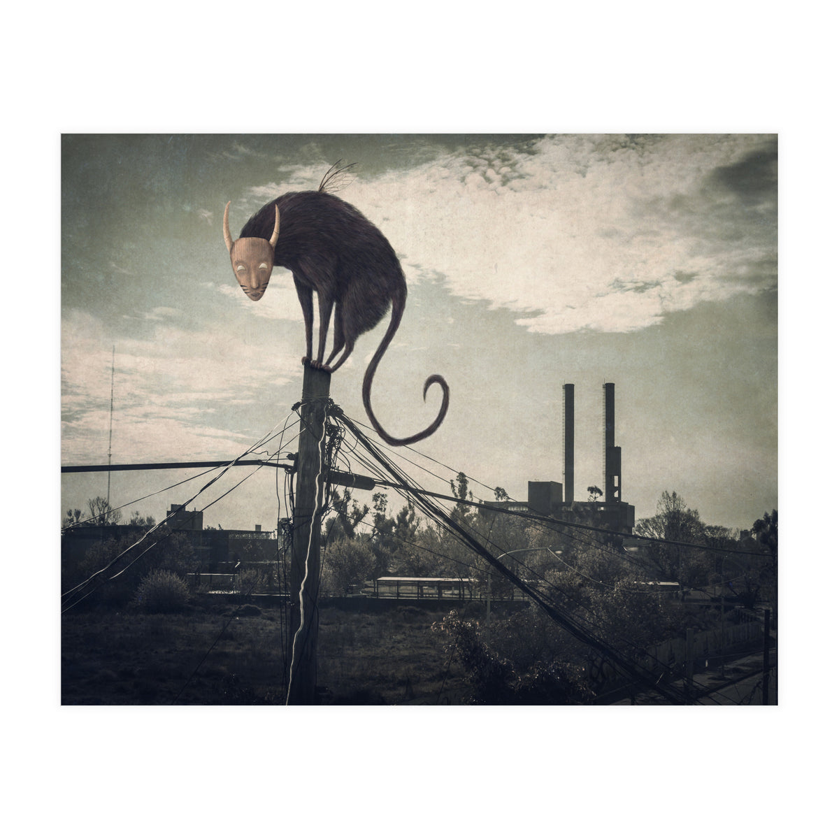 Bicho volador (Print Only)