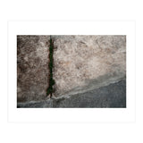 Urban #1 (Print Only) thumbnail