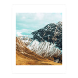 Carter (Print Only) thumbnail