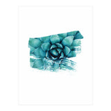 Modern Succulent II (Print Only) thumbnail