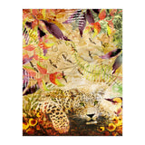 A Life Wild (Print Only) thumbnail