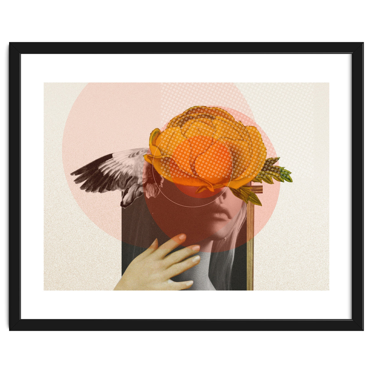 Dreamland Division · C