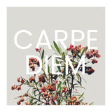 Carpe Diem (Print Only) thumbnail