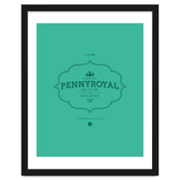 Pennyroyal Tea