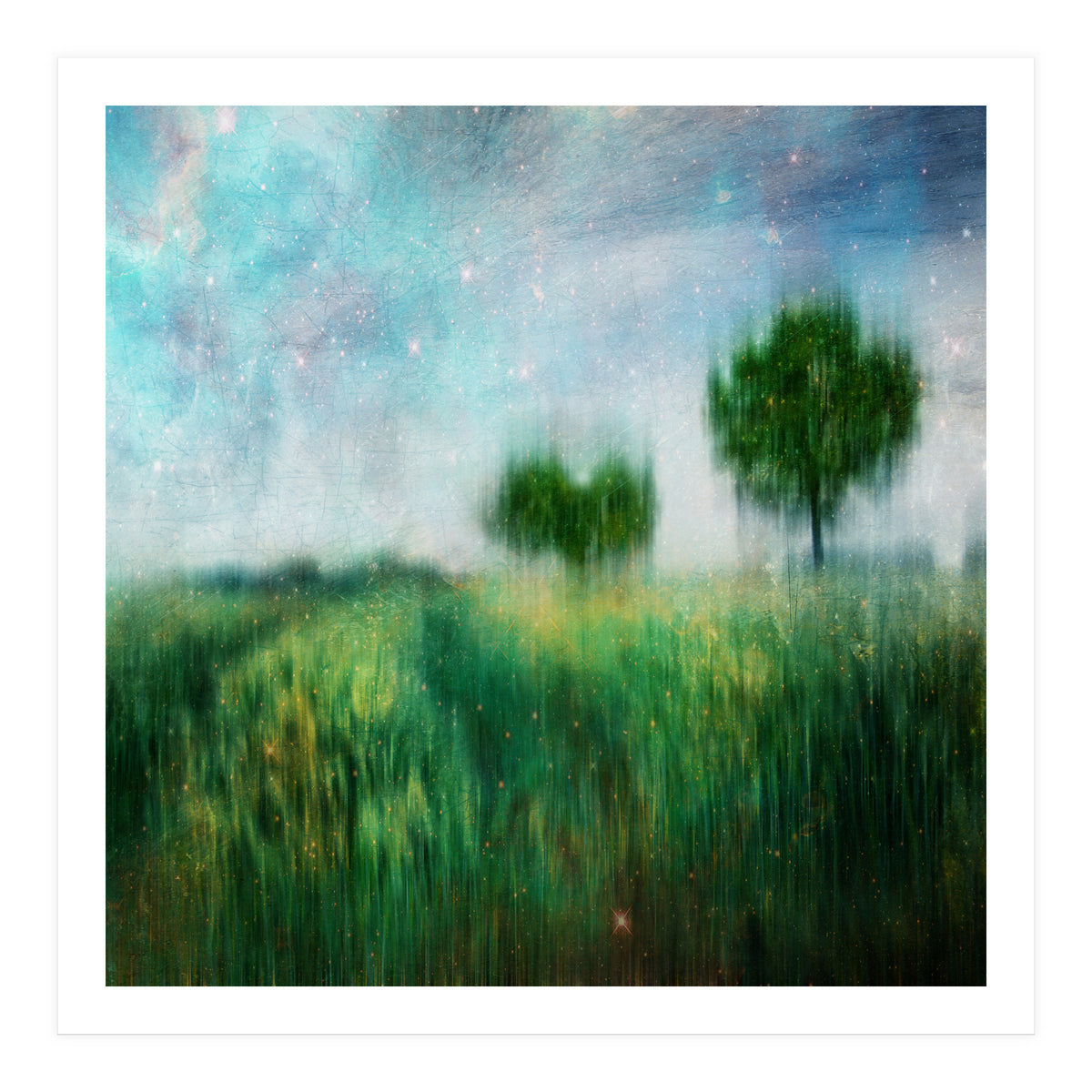 A Star That Fell (Print Only)