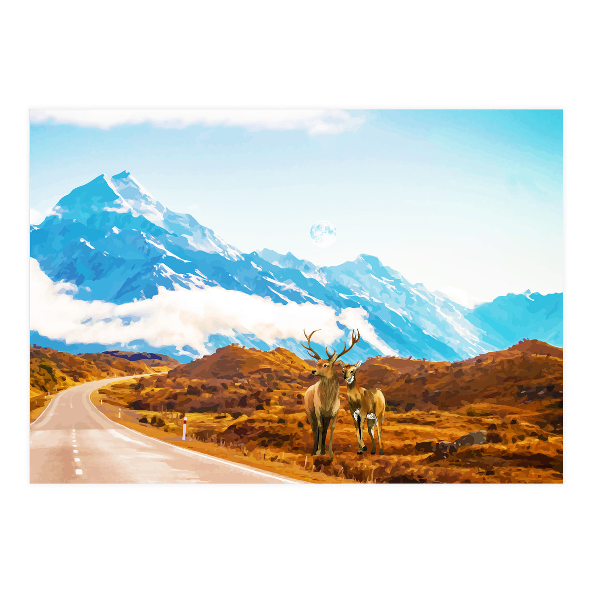 Wildlife (Print Only)