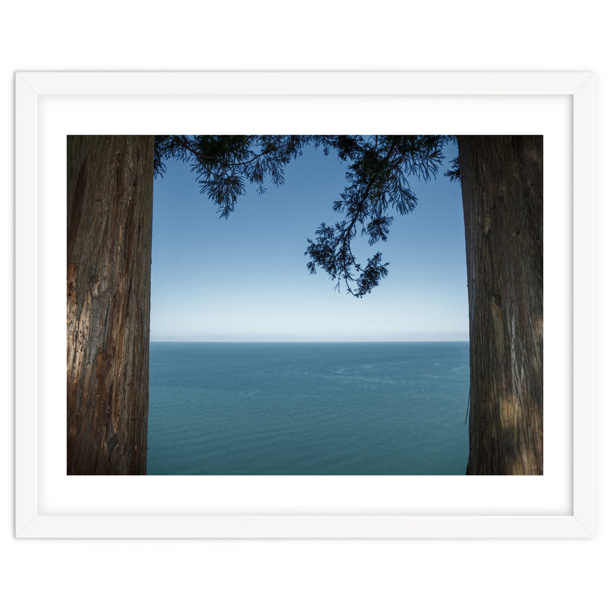 Picture Postcard Perfect