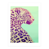 Leopard Under The Sun (Print Only) thumbnail