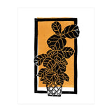 Fiddle Leaf Fig Clean + Sunlight (Print Only) thumbnail