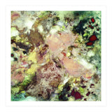 Sugar Coated (Print Only) thumbnail