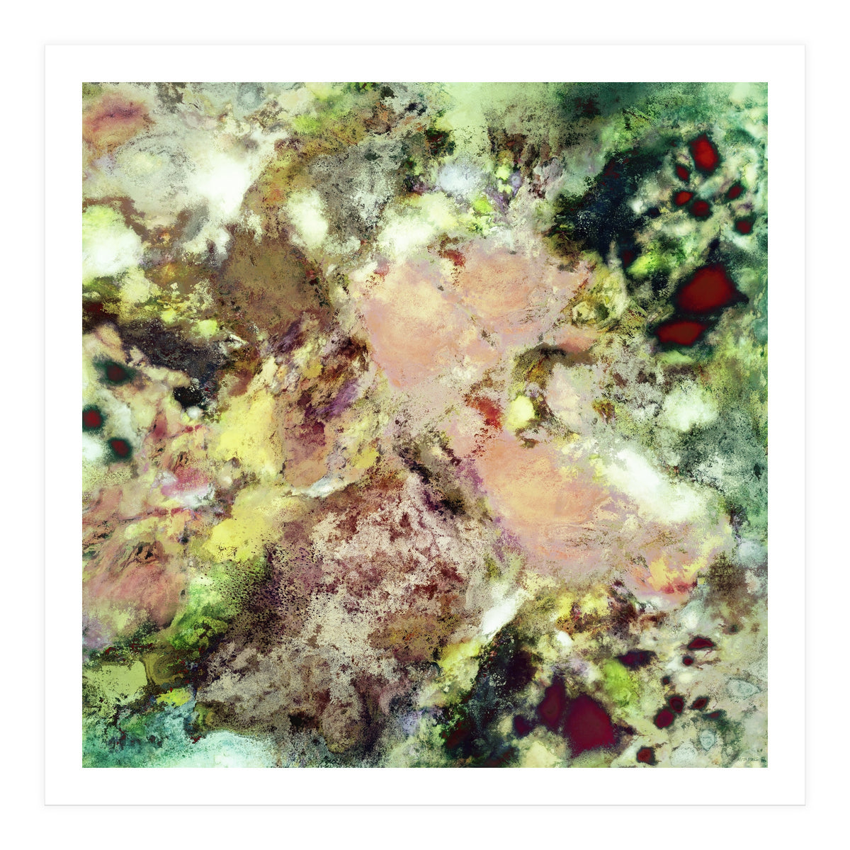 Sugar Coated (Print Only)