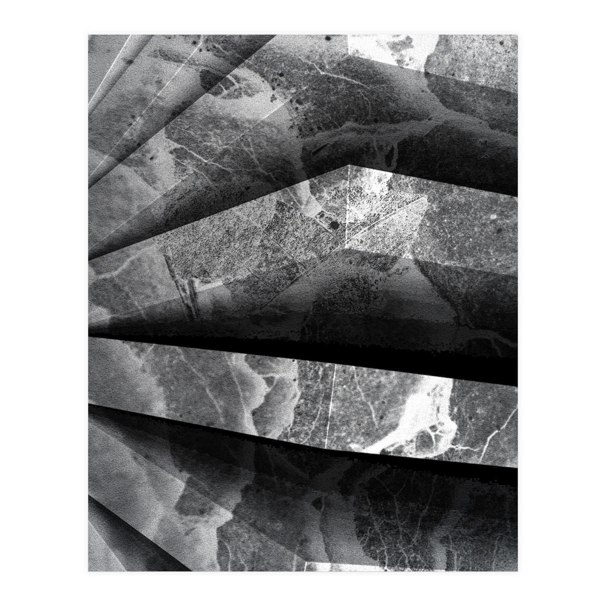 Parole  (Print Only)