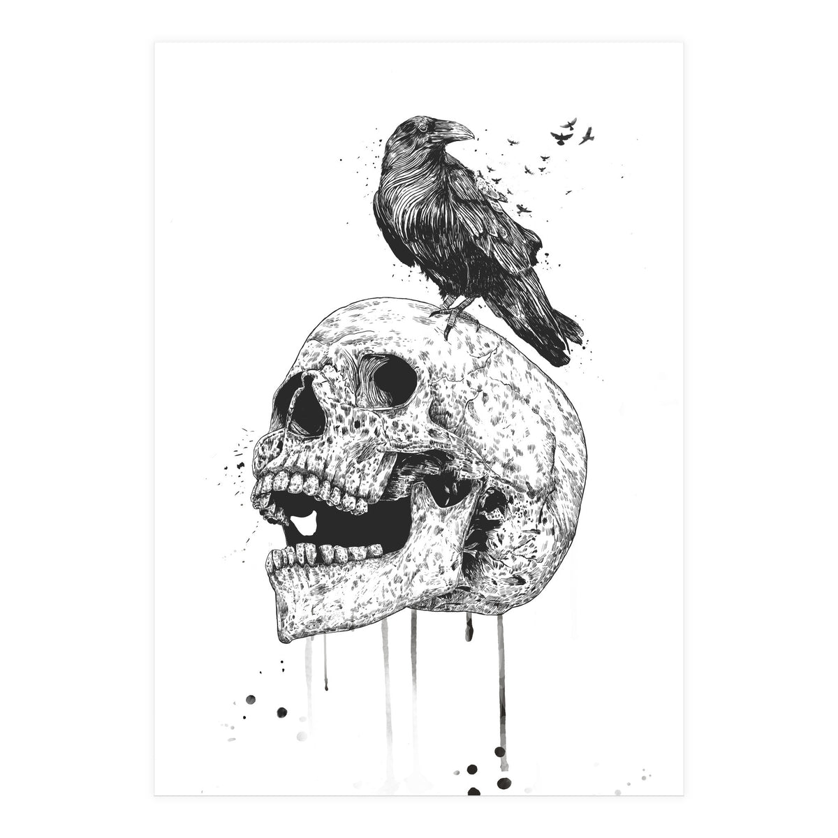 New Skull (bw) (Print Only)