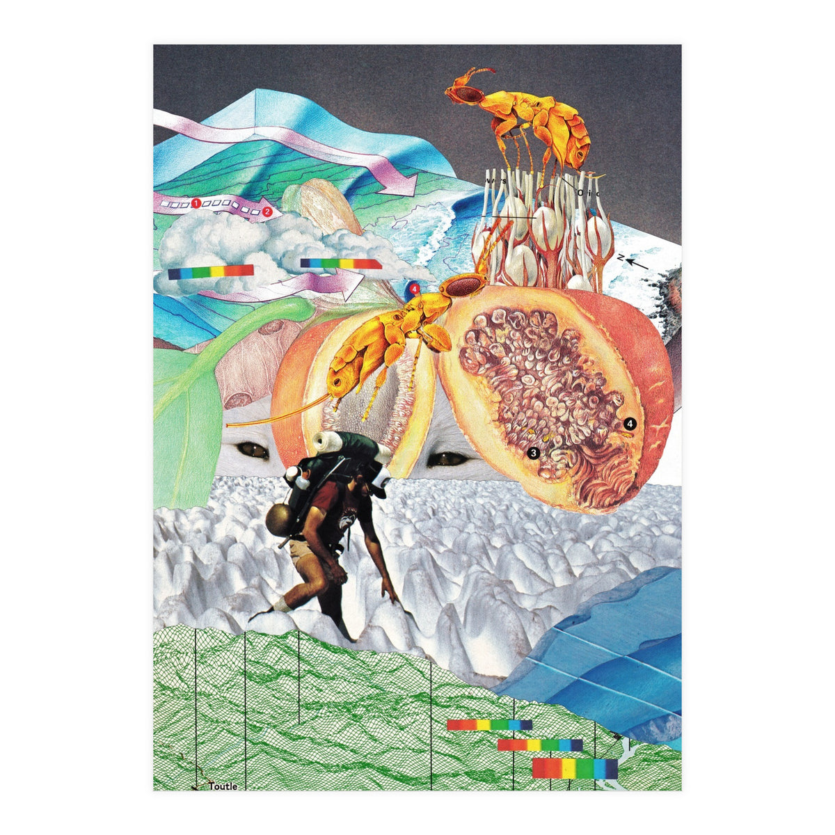 Wonderland (Print Only)