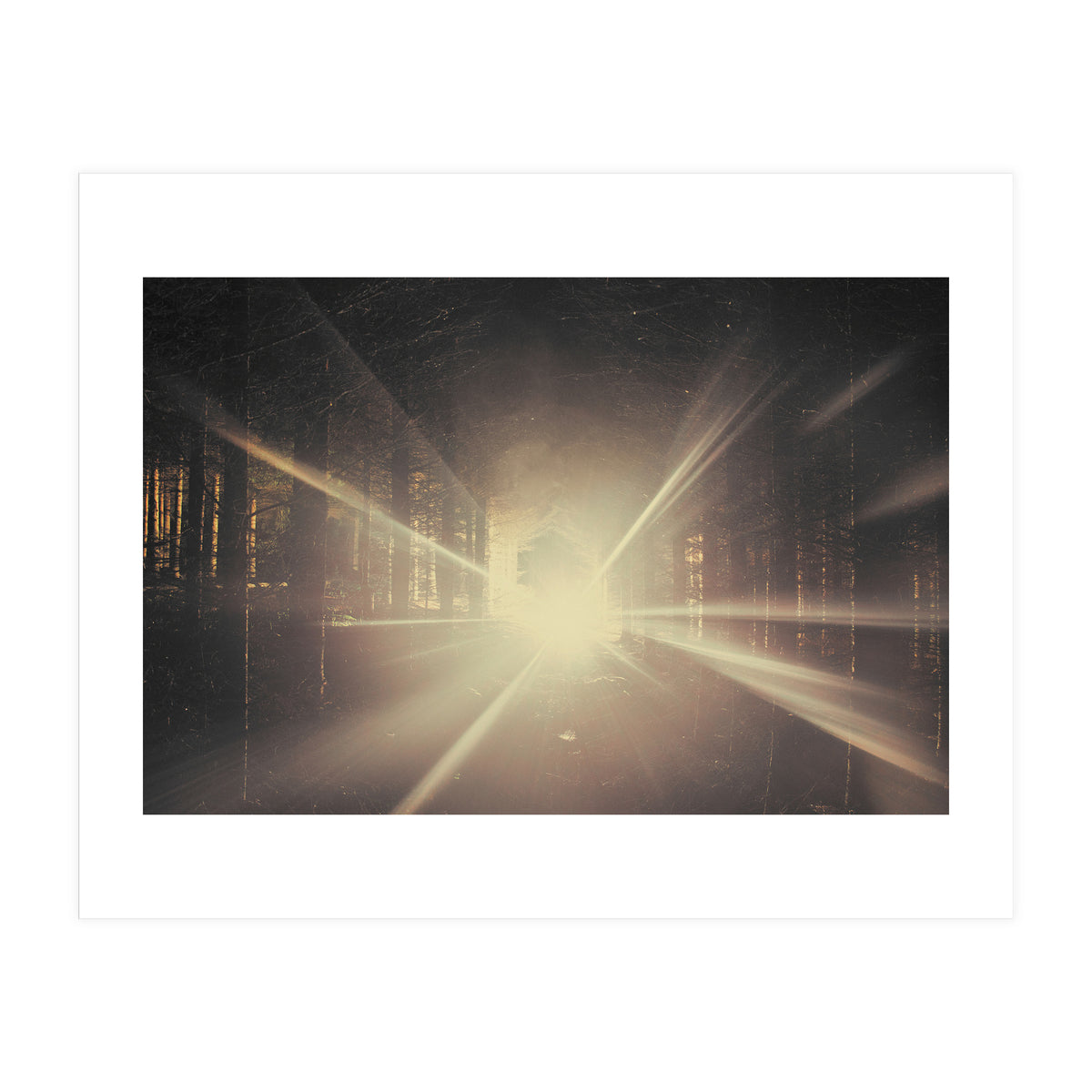 Why is Summer Mist Romantic and Autumn Mist just Sad? (Print Only)