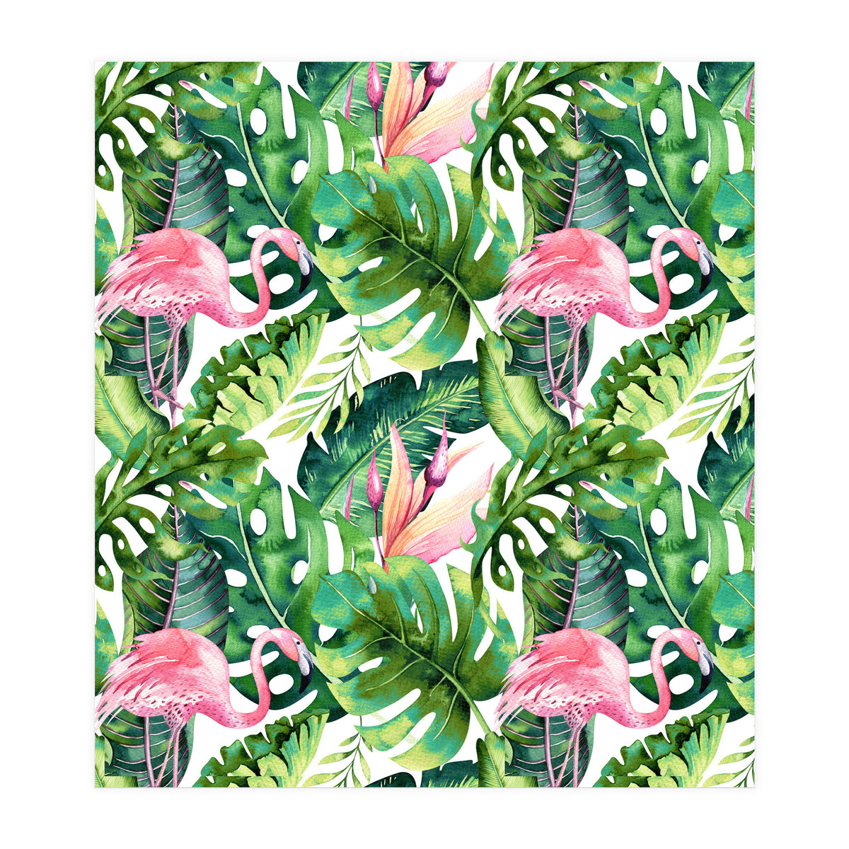 Flamingo Tropical II (Print Only)