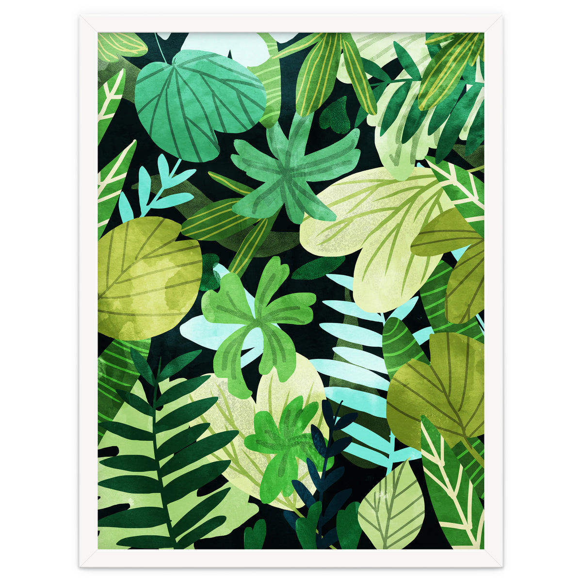 Rainforest Ii