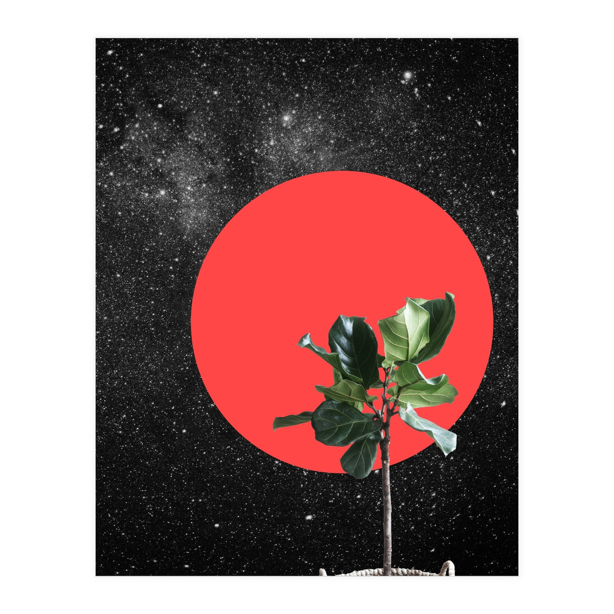 "Bonsai" - Digital Collage (Print Only)