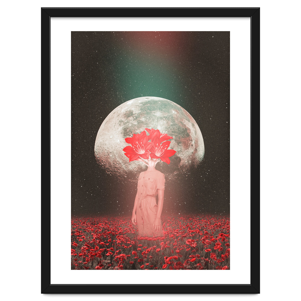 Flowers Bloom in Space