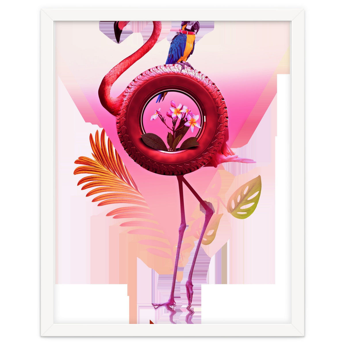 Flamingo