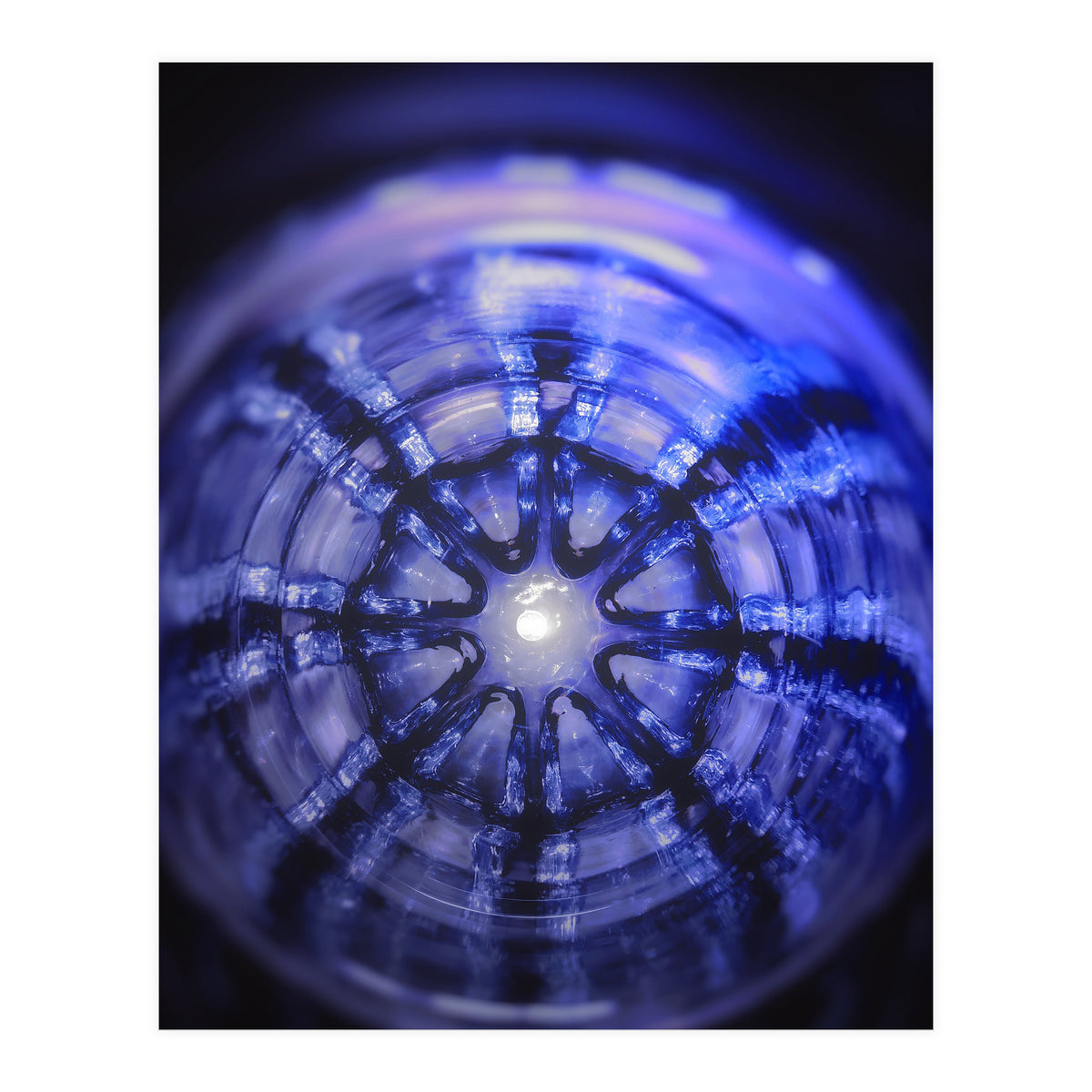 Lucky Reflection (Print Only)