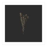 Moody Golden Botanicals - Square (Print Only) thumbnail