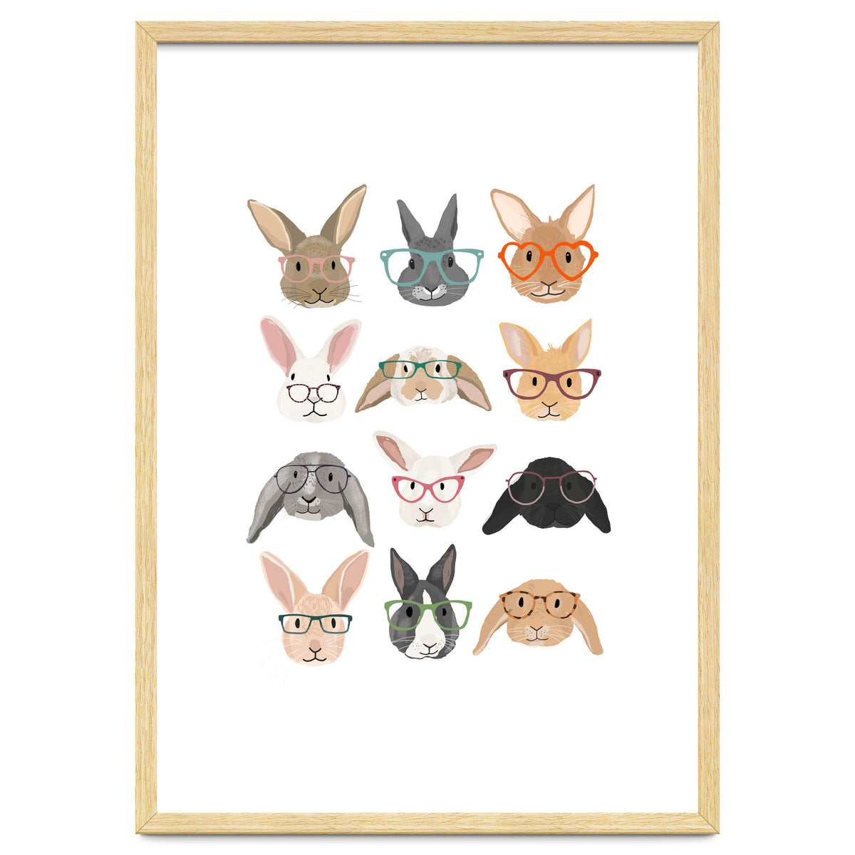 Rabbits in Glasses