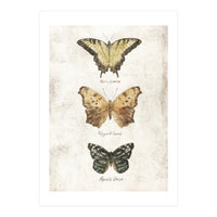 Butterflies I (Print Only)