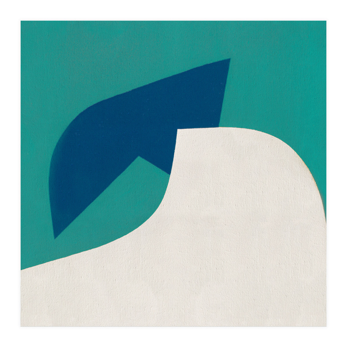 Plunge (Print Only)