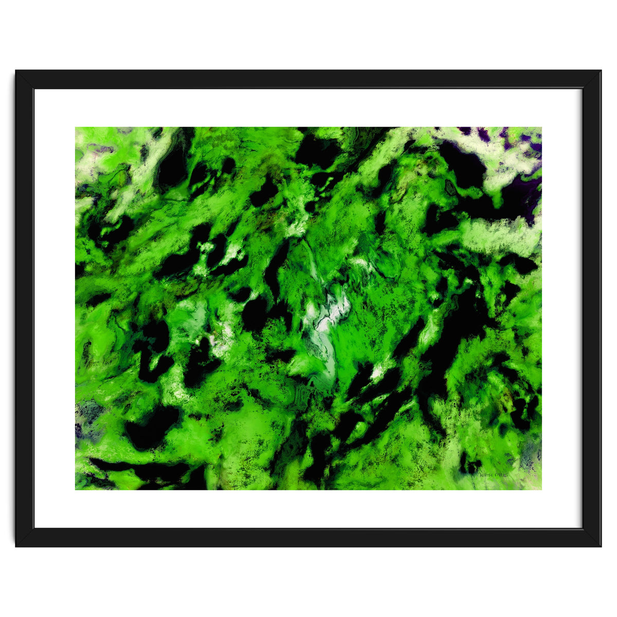 More Distinguishing Marks