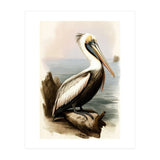 Pelican on the Shoreline Vintage Painting (Print Only) thumbnail
