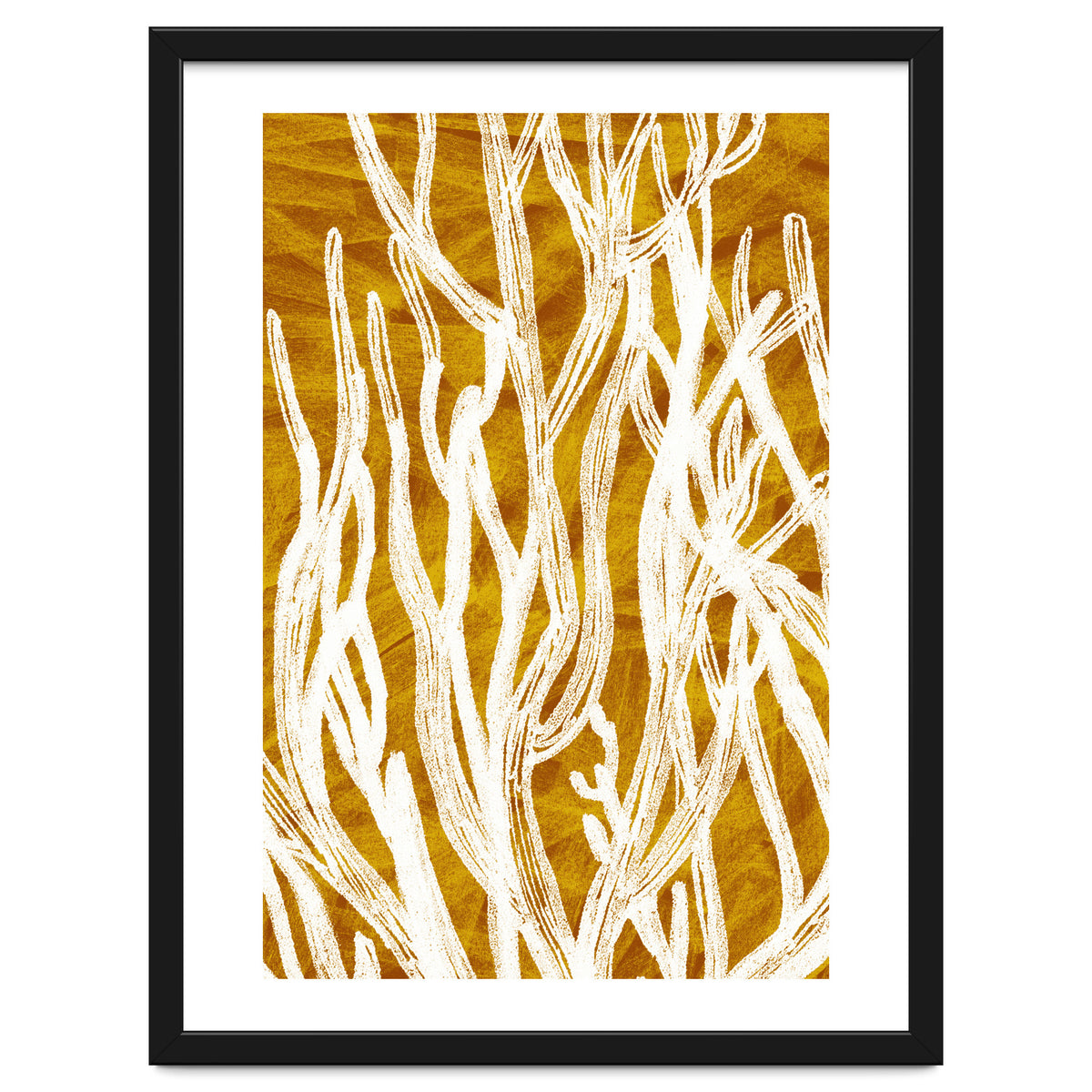 Desert Colours Collection 1