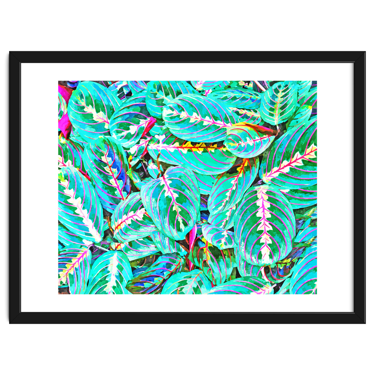 Let's find a beautiful place to get lost