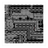BLACK AND WHITE EXOTIC (Print Only) thumbnail