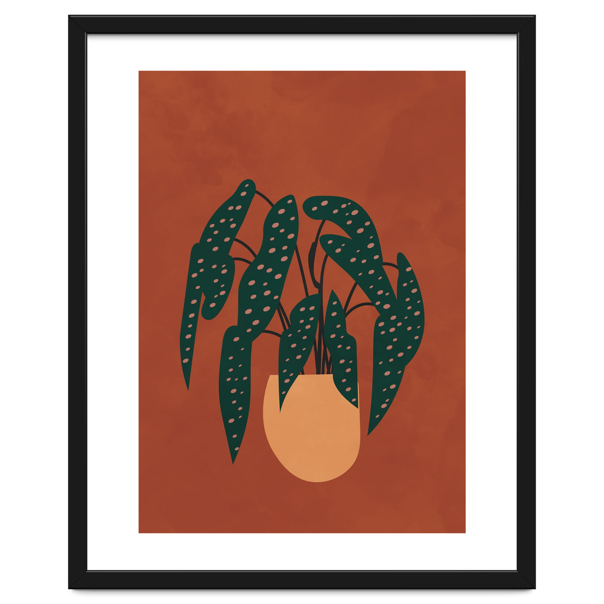 Boho Terracotta Begonia