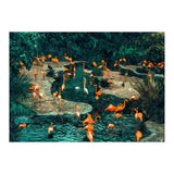 Flamingo Creek (Print Only) thumbnail