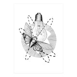 Moth To The Flame (Print Only) thumbnail