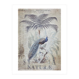 Peacock Jungle (Print Only) thumbnail