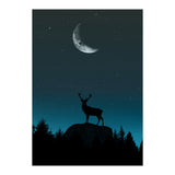 Wild Nature - Nocturne (Print Only) thumbnail