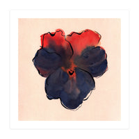 Blue Pansy (Print Only)