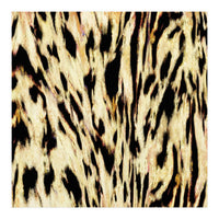 The Tiger Side (Print Only)
