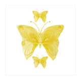 Yellow Butterflies (Print Only) thumbnail