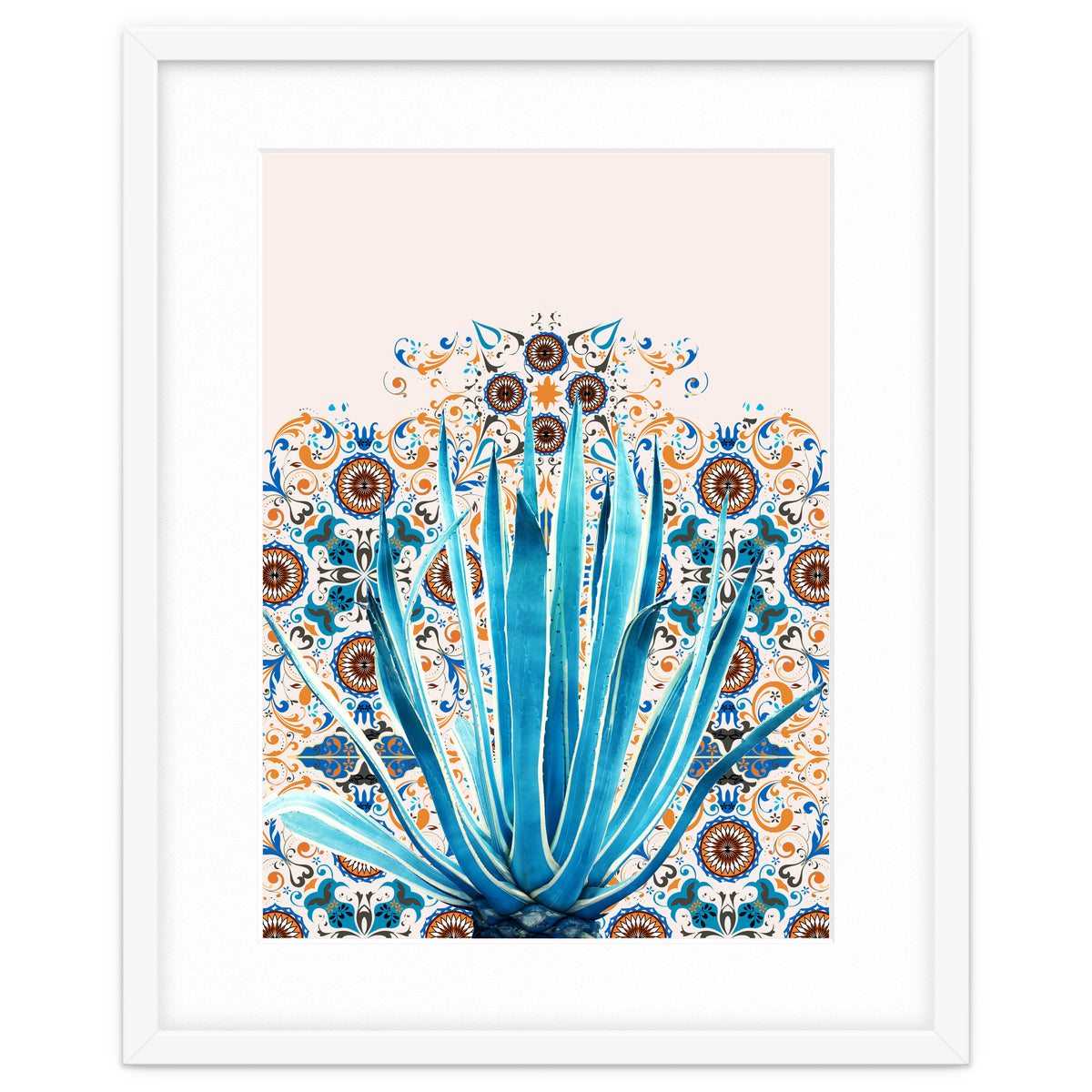 Cactus and Moroccan tiles