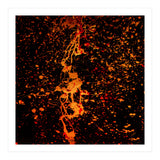 Lulu (Print Only) thumbnail