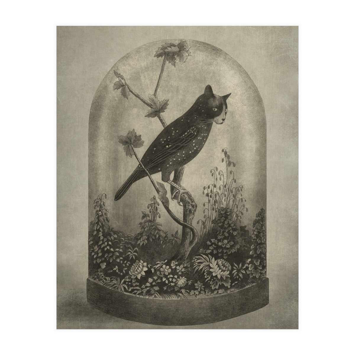 The Curiosity (Print Only)